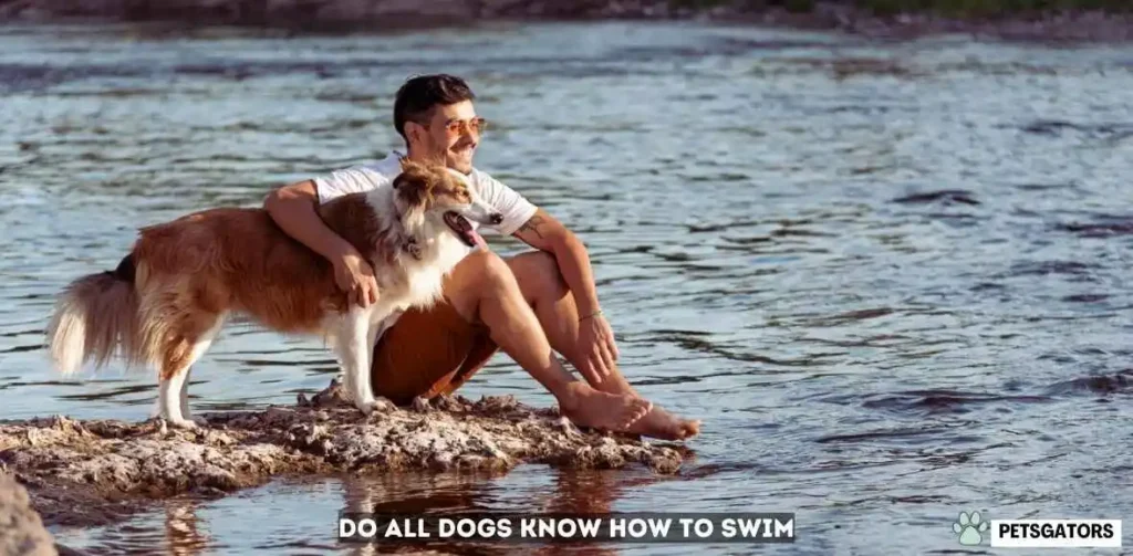 do all dogs know how to swim