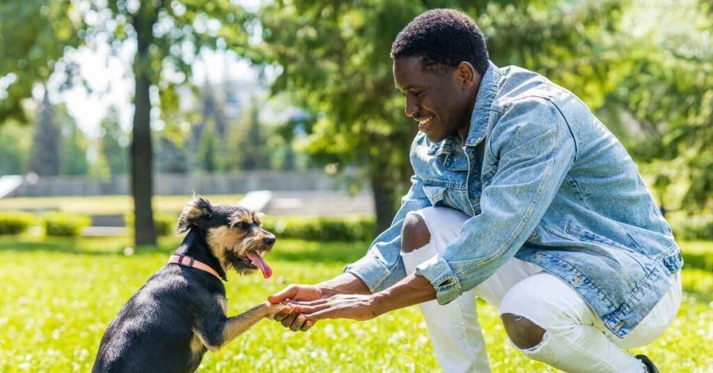 Why You Should Be Aware of the Signs of Alpha Dog Behavior