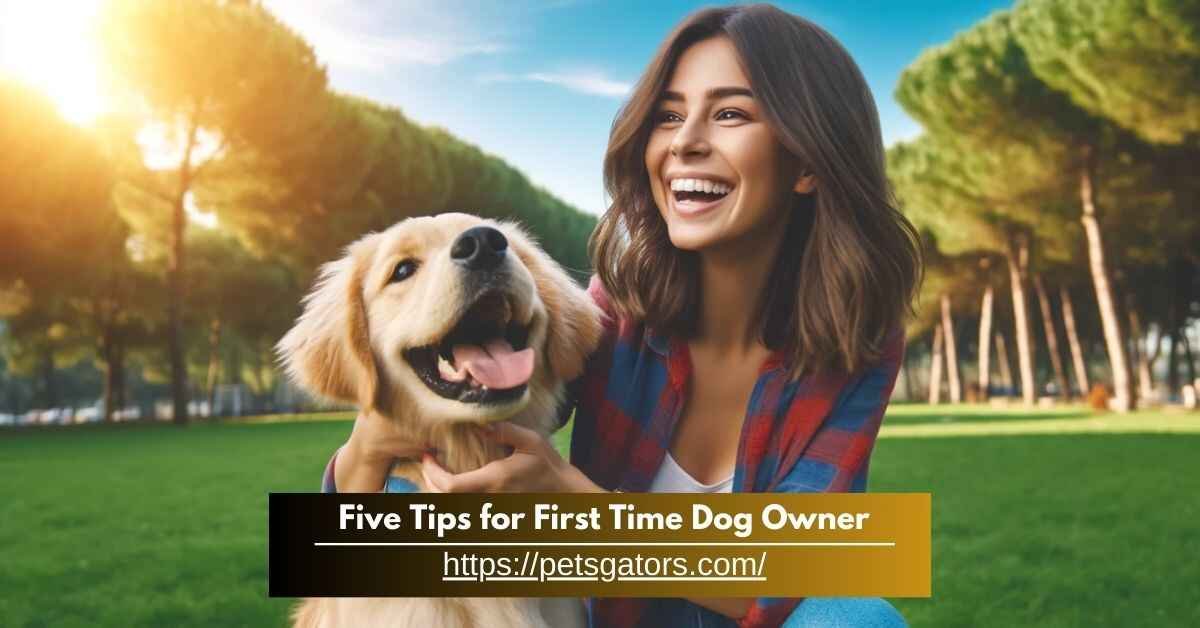 five tips for first time dog owner