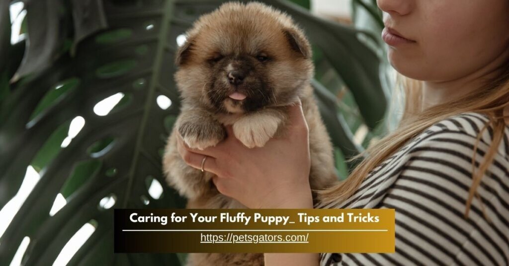 Caring for Your Fluffy Puppy - Tips and Tricks