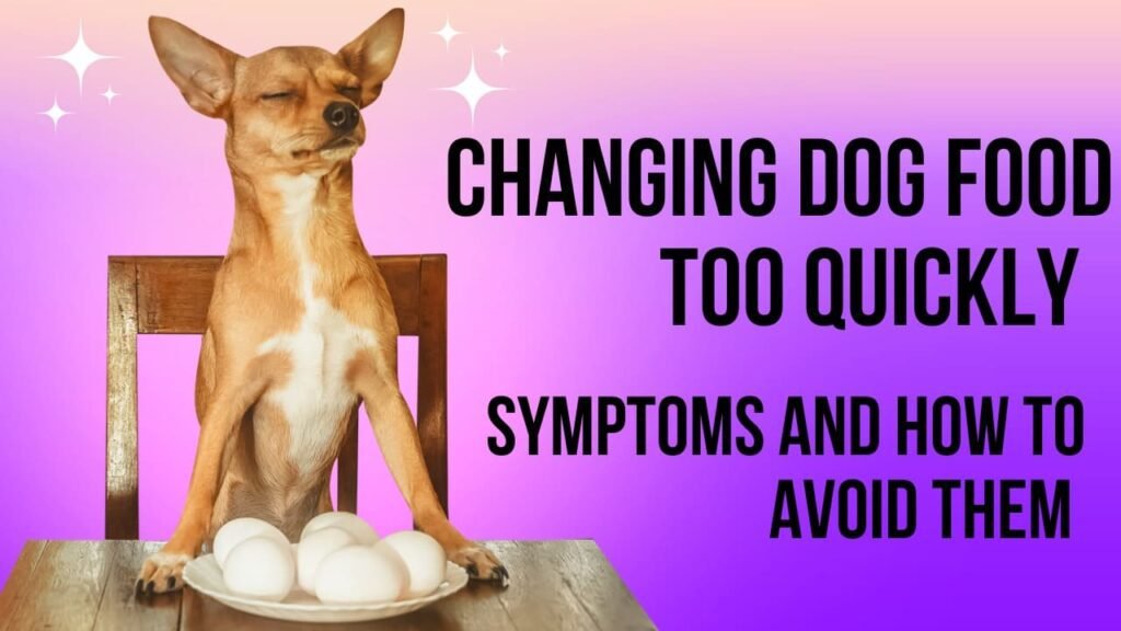 Changing Dog Food Too Quickly Symptoms