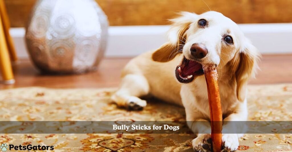 bully sticks for dogs