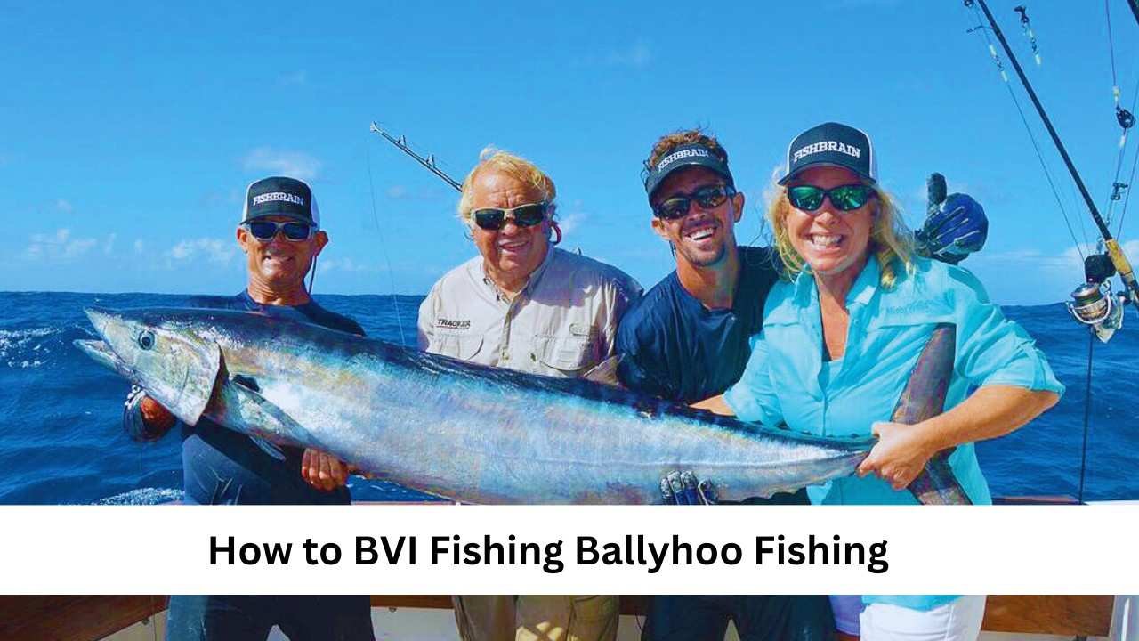 bvi fishing ballyhoo fishing