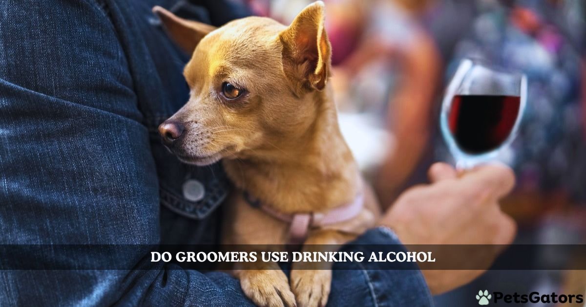 do groomers use drinking alcohol