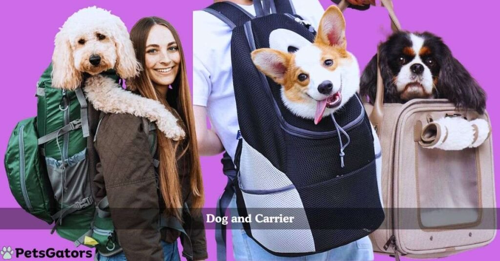 dog and carrier