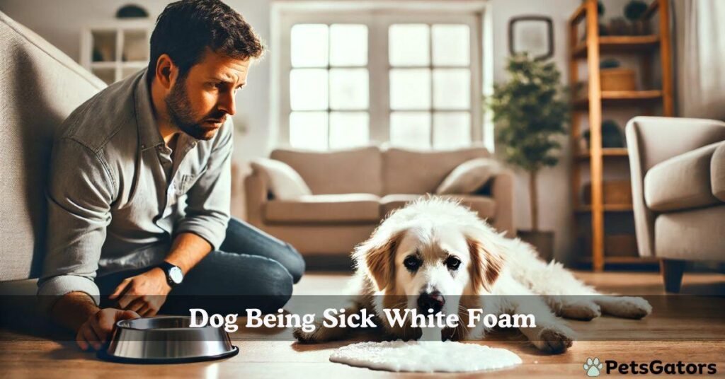 dog being sick white foam