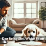 dog being sick white foam